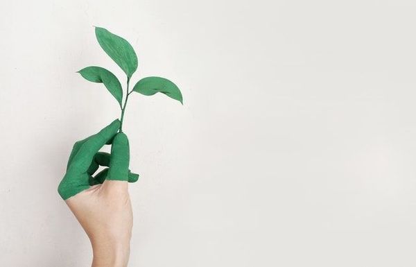 How to lean towards a sustainable well-being